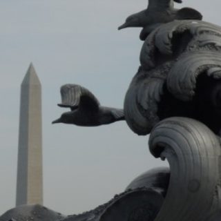 Profile picture of Teresa Murphy