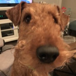 Profile picture of Lance Swan